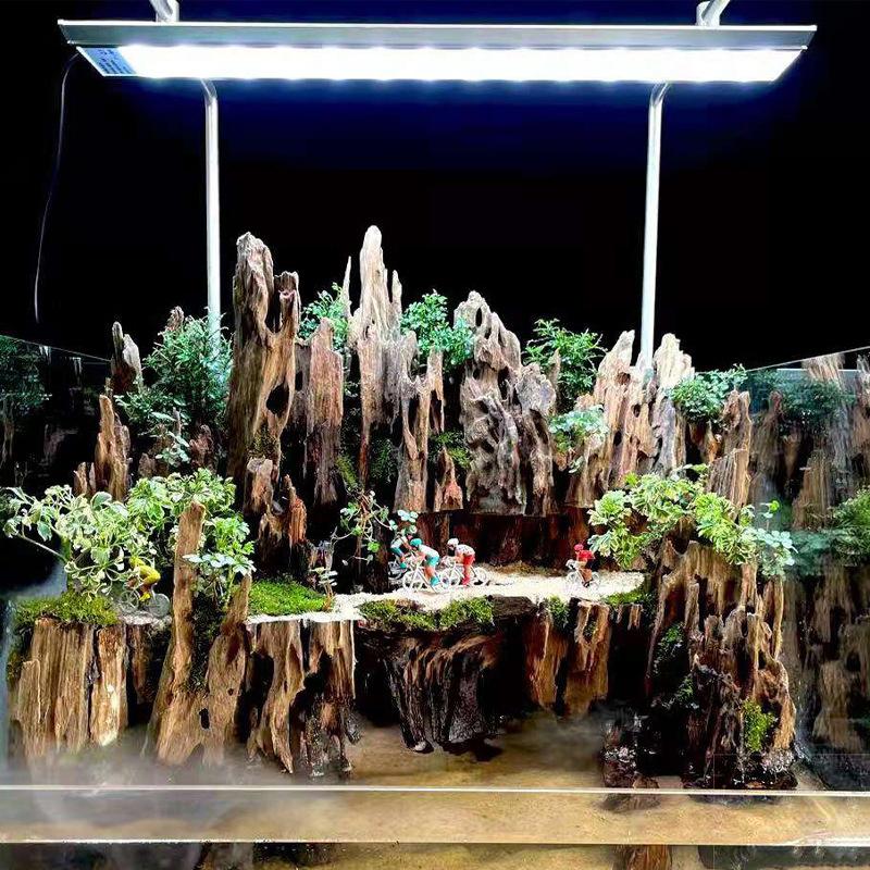 Aquarium Fish To Buy - Dekoracja akwariowa z drewna na krewetki,