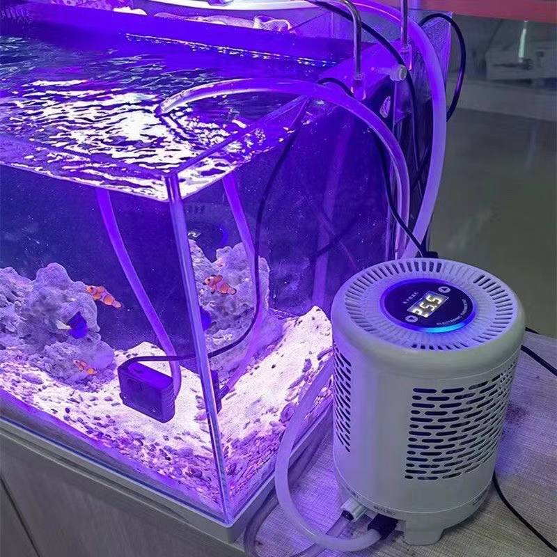 Aquarium Fish Uk - Akwarium agregat chłodniczy meduzy zbiornik termostat