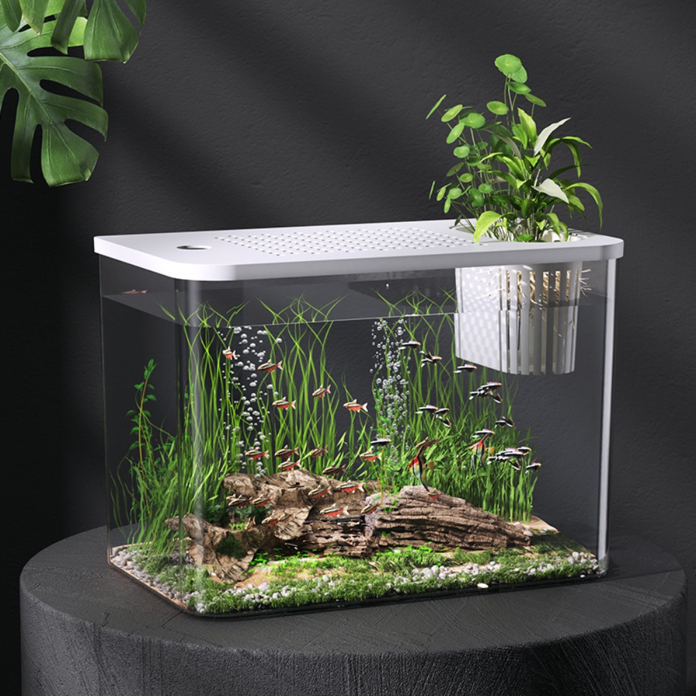 Aquarium Fish For Sale - PET + ABS akwarium przezroczysty ekologiczny