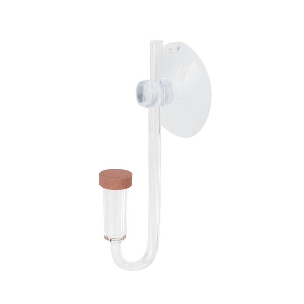 Aquarium Fish To Buy - Akrylowy Mini Akwarium Rośliny Żywe Atomizer