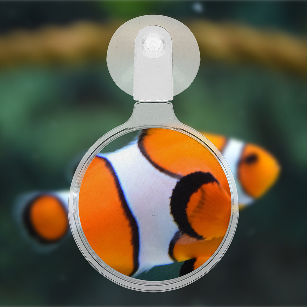 2 szt. Lupa do akwarium z przy – Aquarium Fish To Buy recenzja i cena