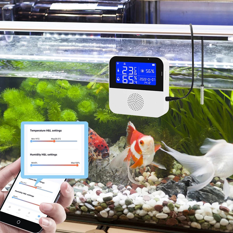 WiFi Tuya inteligentne życie w – Aquarium Fish Uk recenzja i cena