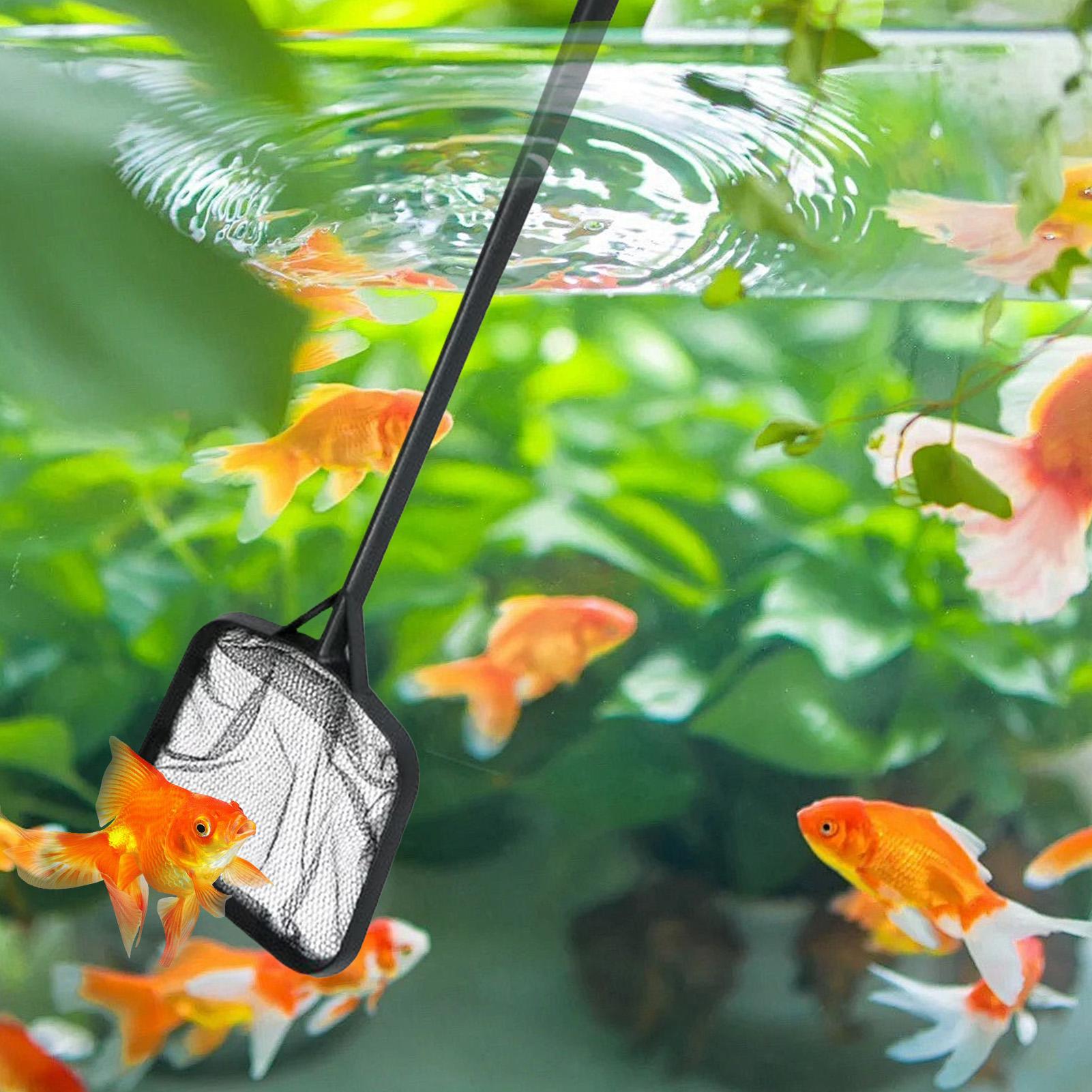 Siatki do czyszczenia basenów, – Aquarium Fish To Buy recenzja i cena