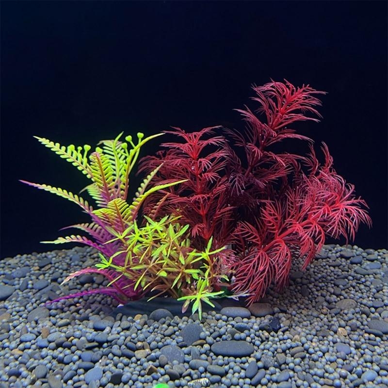 Sztuczna roślina dekoracyjna d – Aquarium Fish For Sale recenzja i cena