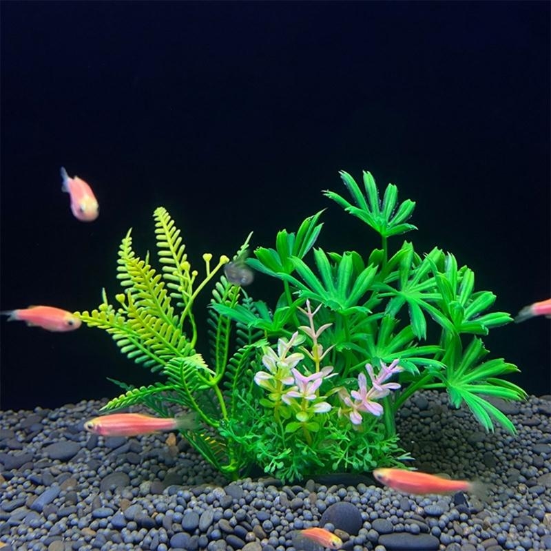 Sztuczna roślina dekoracyjna d – Aquarium Fish For Sale recenzja i cena