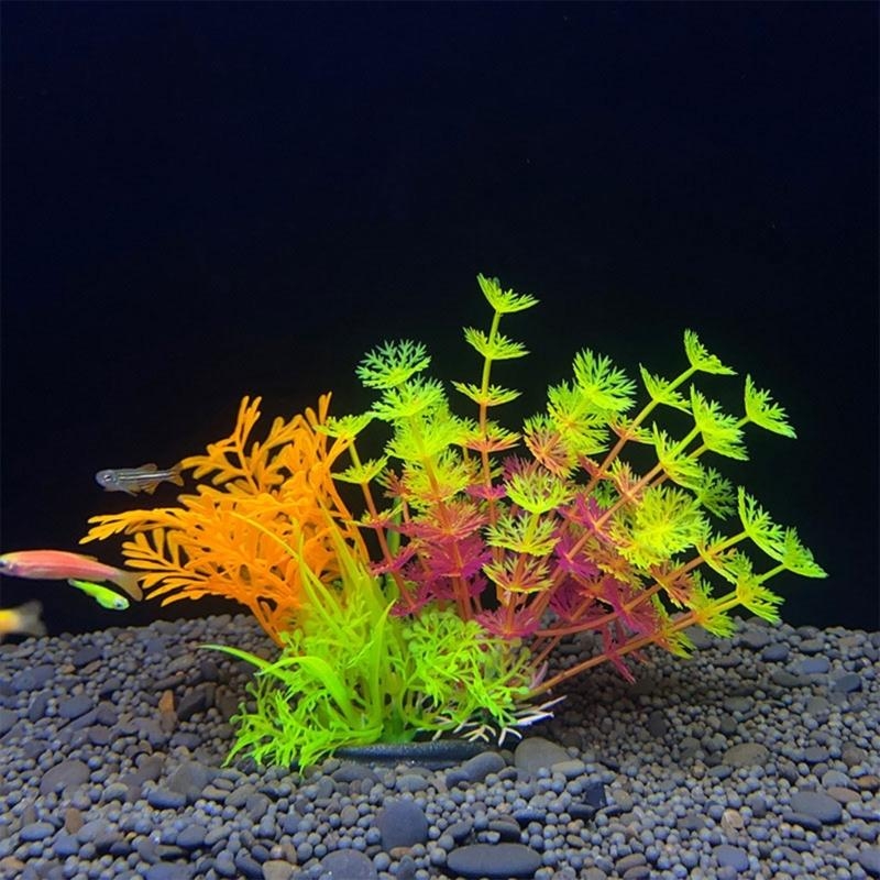 Sztuczna roślina dekoracyjna d – Aquarium Fish For Sale recenzja i cena