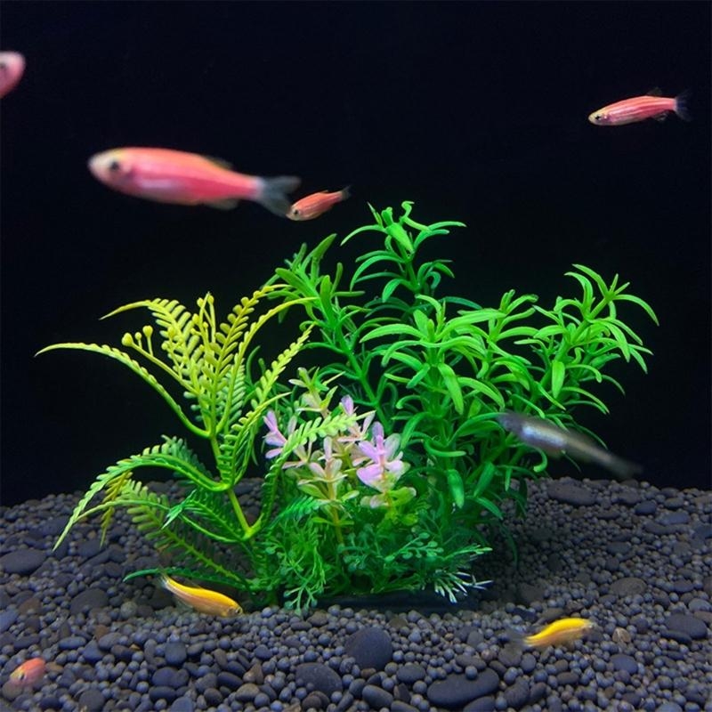 Sztuczna roślina dekoracyjna d – Aquarium Fish For Sale recenzja i cena