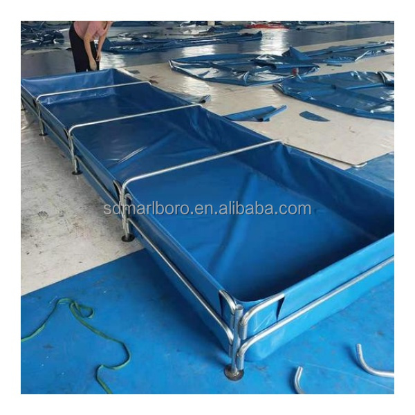 AIROW Niestandardowe, wysokiej – Aquarium Fish For Sale recenzja i cena
