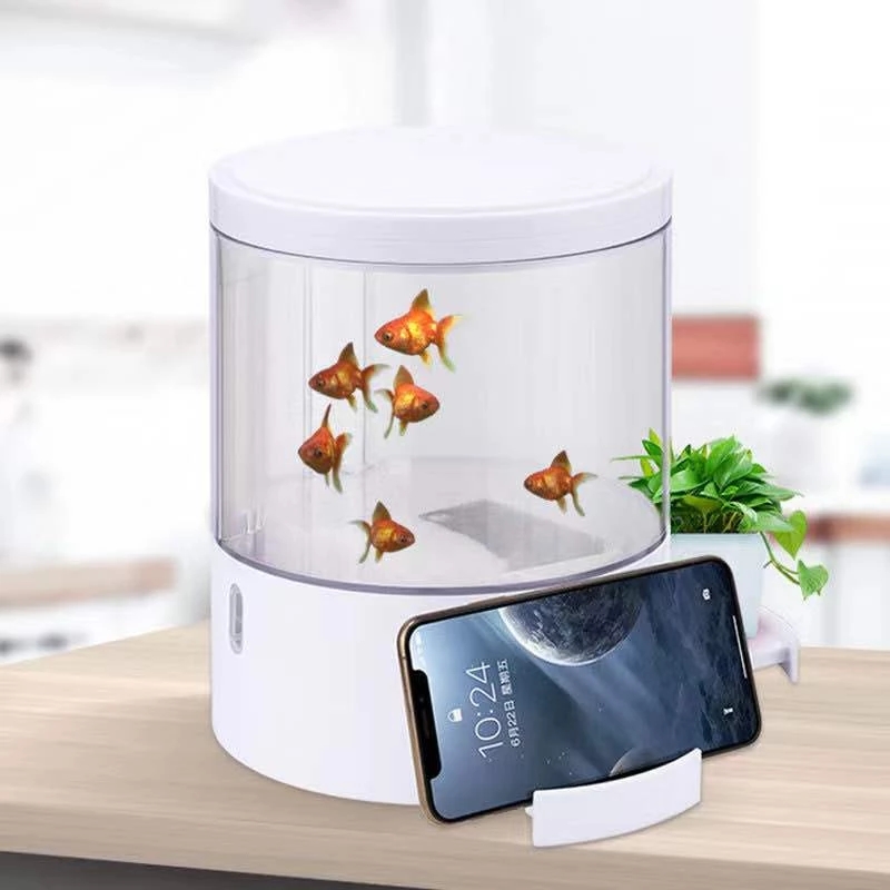 Okrągłe kolorowe światła pulpi – Aquarium Fish For Sale recenzja i cena