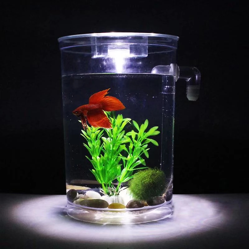 Leniwa bezpłatna wymiana wody  – Aquarium Fish Goldfish recenzja i cena