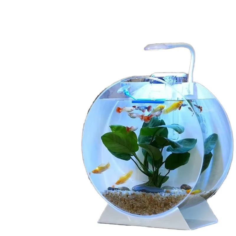 Wyprzedaż Nowoczesne Ekologicz – Aquarium Fish For Sale recenzja i cena