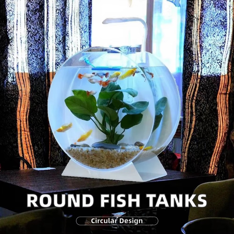 Wyprzedaż Nowoczesne Ekologicz – Aquarium Fish For Sale recenzja i cena