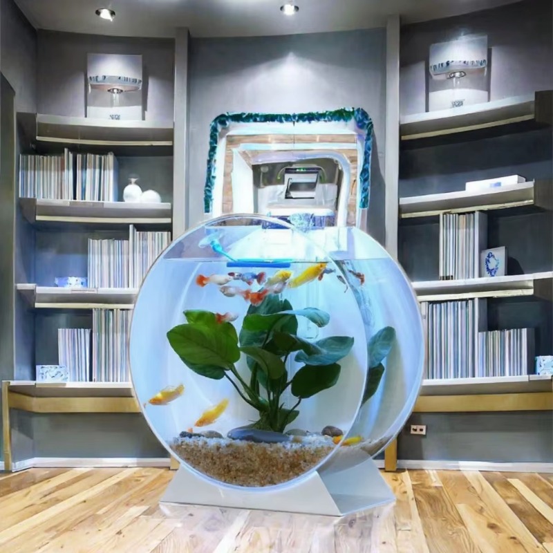 Wyprzedaż Nowoczesne Ekologicz – Aquarium Fish For Sale recenzja i cena