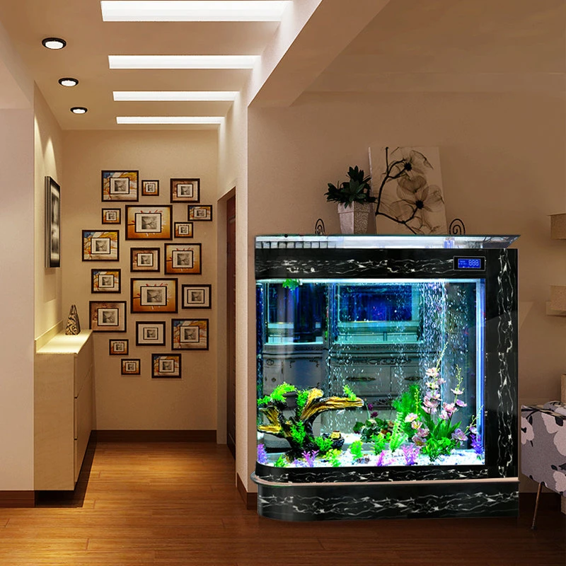 Akwarium w kształcie pocisku,  – Aquarium Fish Big recenzja i cena