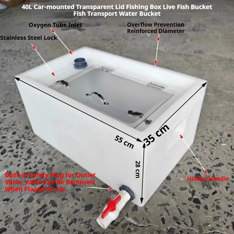 Wazon na żywe ryby, wzmocniony – Aquarium Fish To Buy recenzja i cena
