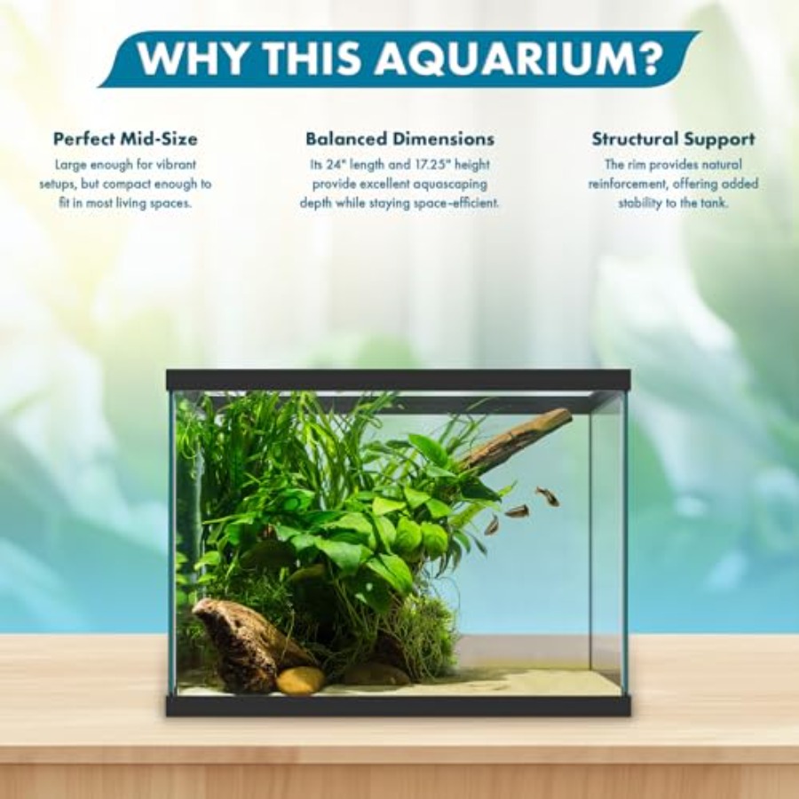 Szklane akwarium o pojemności  – Aquarium Fish Big recenzja i cena