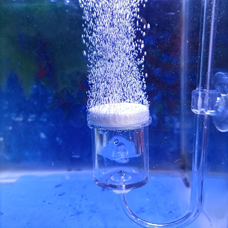 Szklany atomizer CO2 do akwari – Aquarium Fish To Buy recenzja i cena