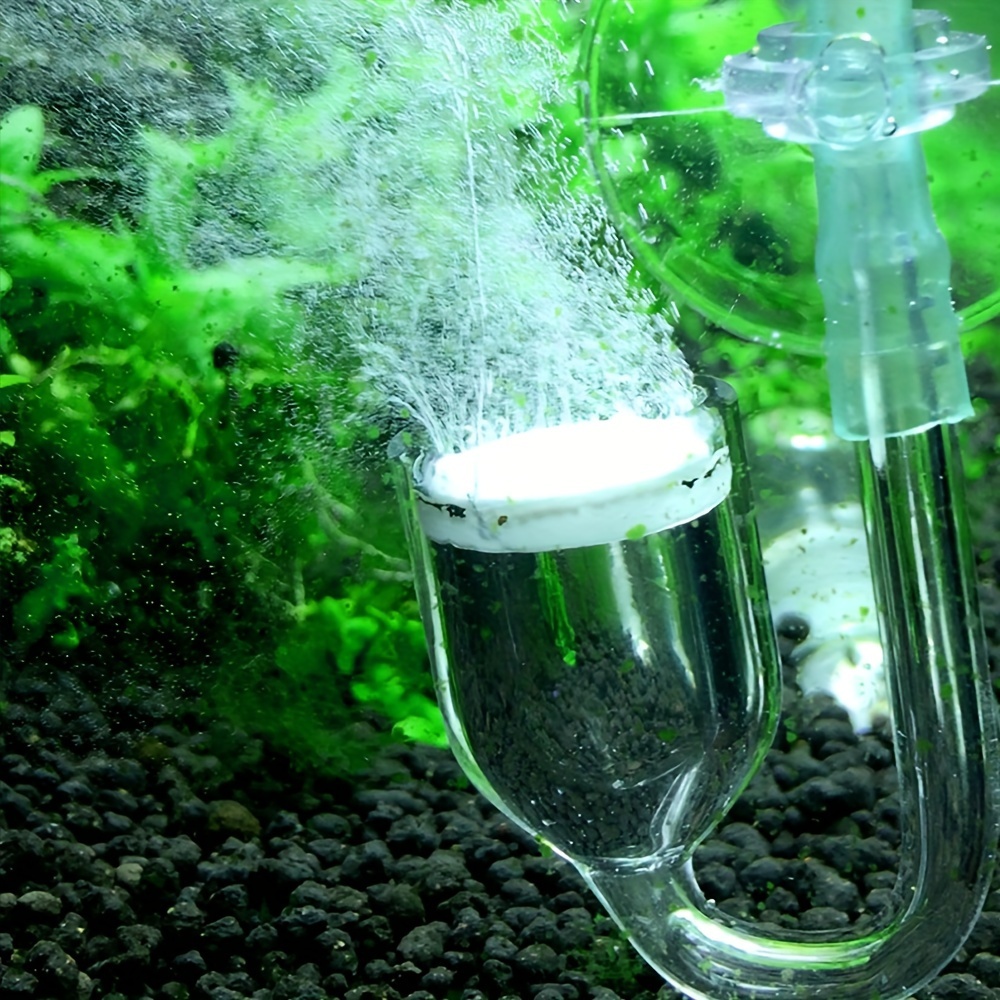 Szklany atomizer CO2 do akwari – Aquarium Fish To Buy recenzja i cena