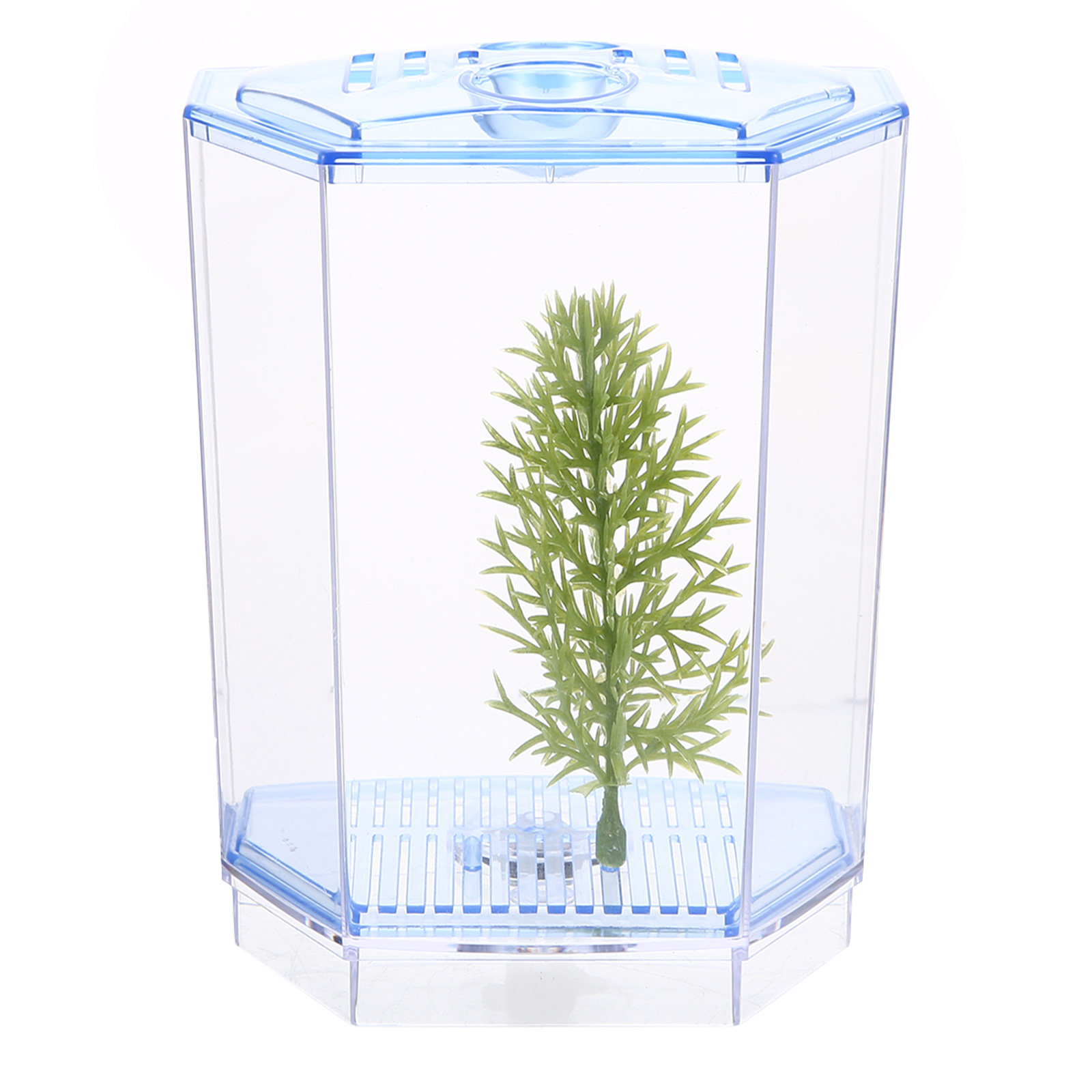 Mini Akwarium z Przezroczysteg – Aquarium Fish Goldfish recenzja i cena