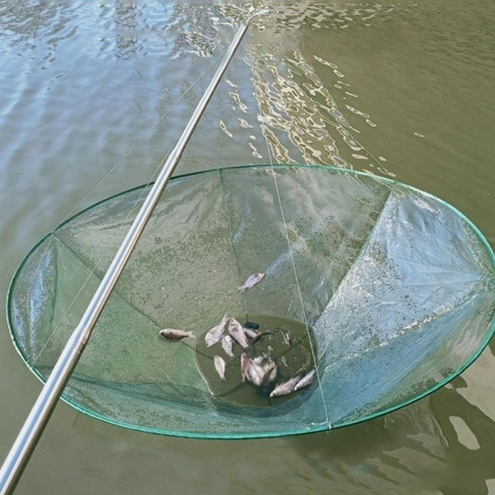 Duża okrągła składana siatka d – Aquarium Fish Big recenzja i cena