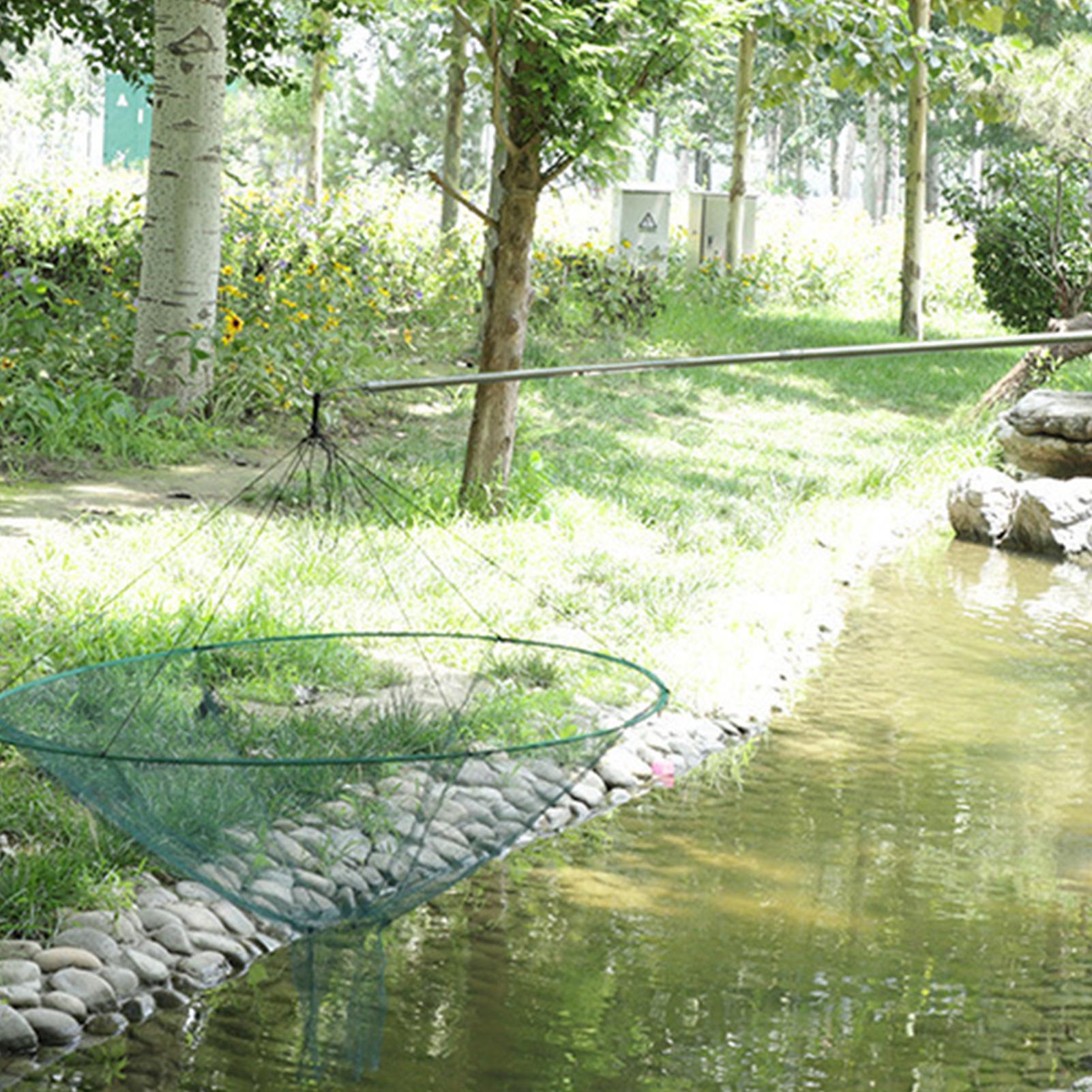 Duża okrągła składana siatka d – Aquarium Fish Big recenzja i cena