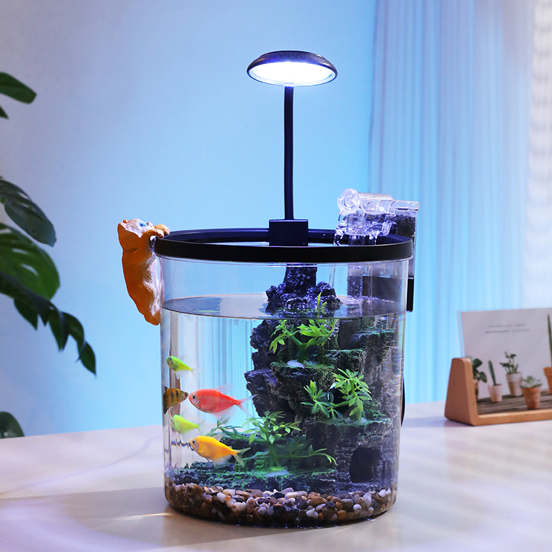 Kompaktowa okrągła akwarium dl – Aquarium Fish Goldfish recenzja i cena