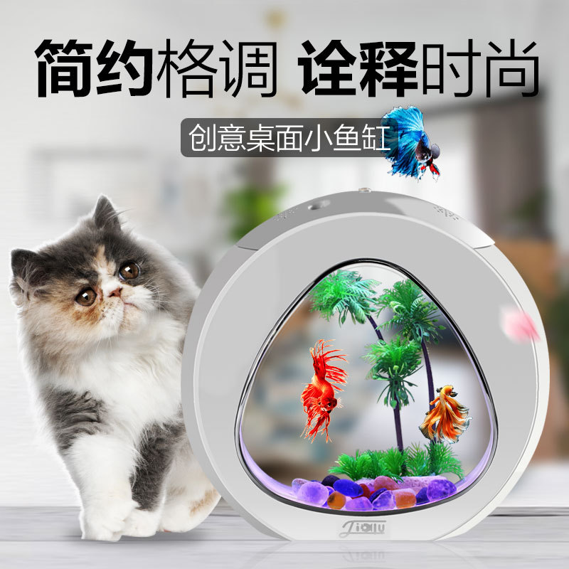 Akwarium biurkowe Jialu, małe  – Aquarium Fish Delivery recenzja i cena