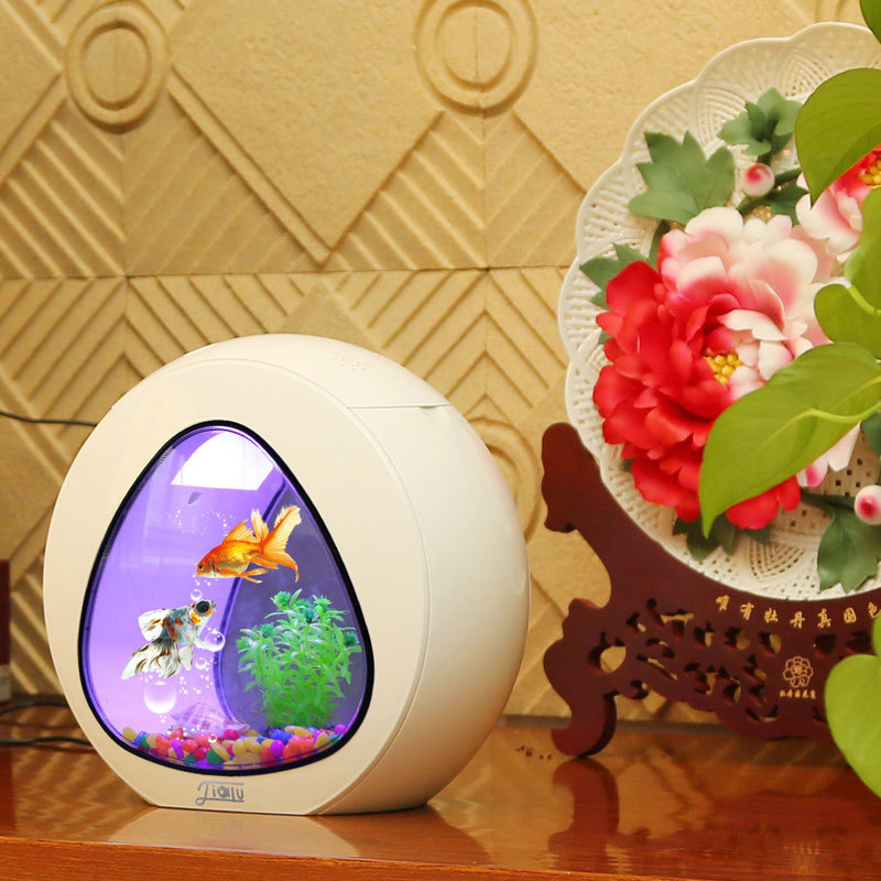 Akwarium biurkowe Jialu, małe  – Aquarium Fish Delivery recenzja i cena
