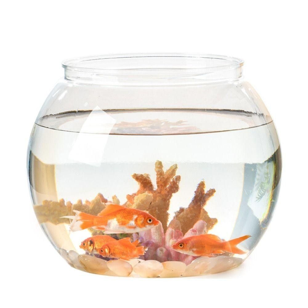 Przenośny Przezroczysty Akwari – Aquarium Fish Goldfish recenzja i cena