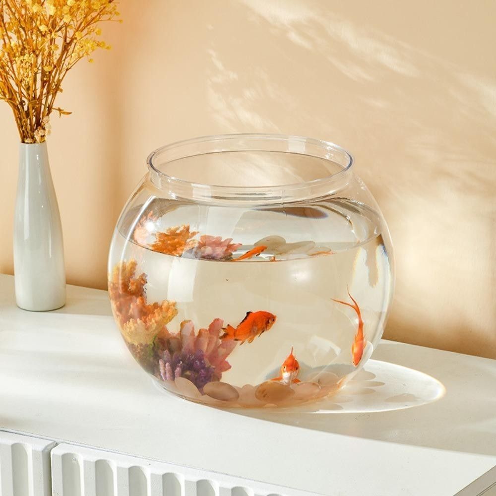 Przenośny Przezroczysty Akwari – Aquarium Fish Goldfish recenzja i cena
