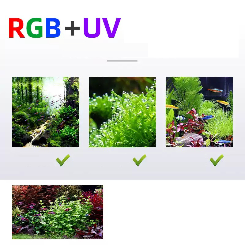 Oświetlenie LED 60cm 80cm 90cm – Aquarium Fish For Sale recenzja i cena