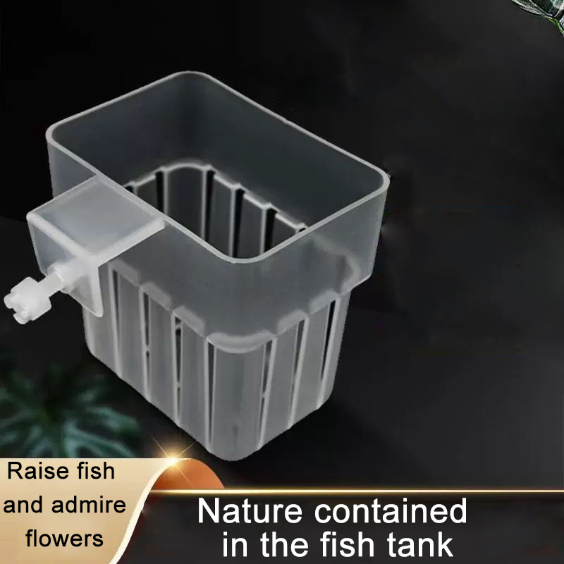 Akwarium Przezroczysty Koszyk  – Aquarium Fish Big recenzja i cena