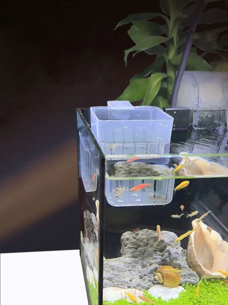 Akwarium Przezroczysty Koszyk  – Aquarium Fish Big recenzja i cena