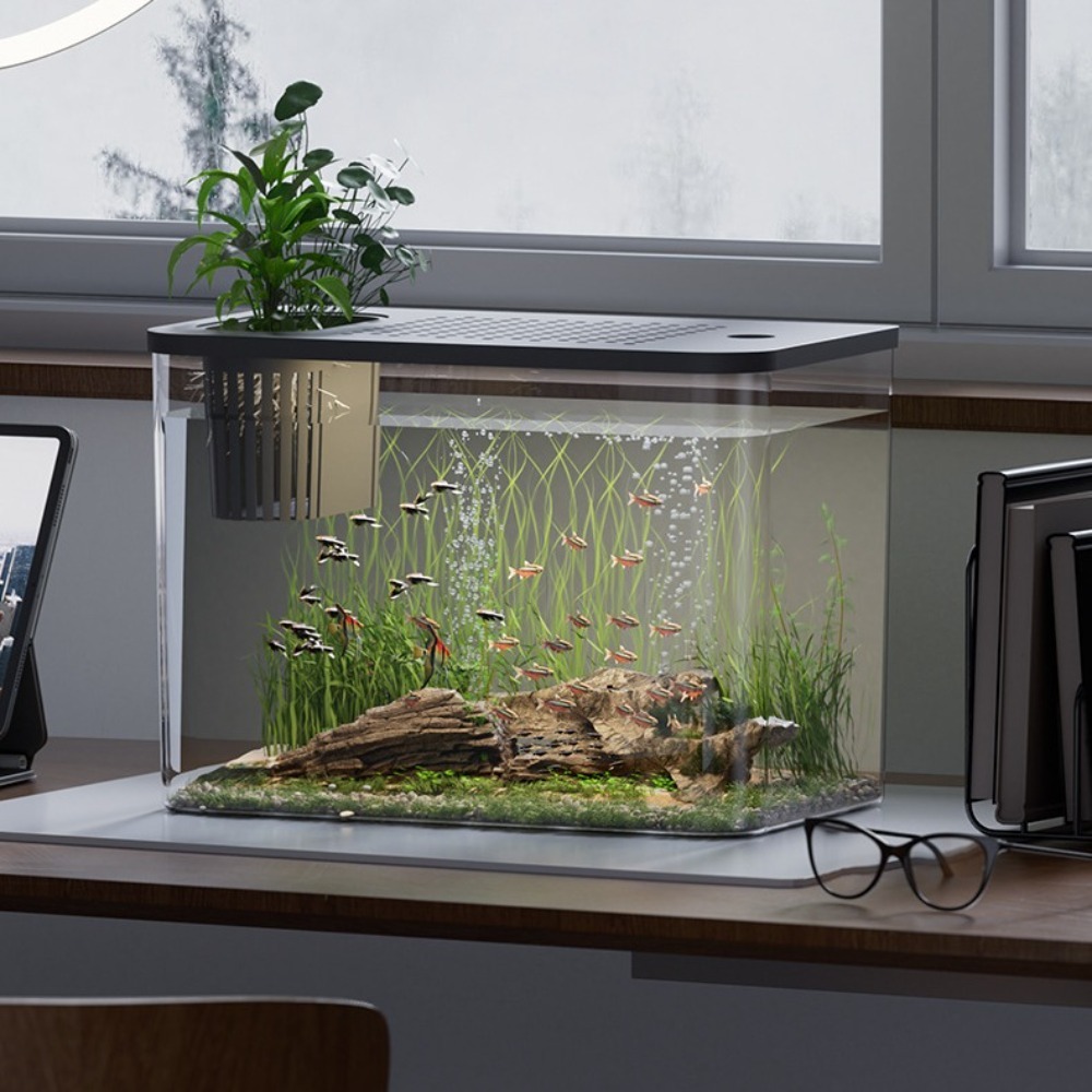 PET + ABS akwarium przezroczys – Aquarium Fish For Sale recenzja i cena