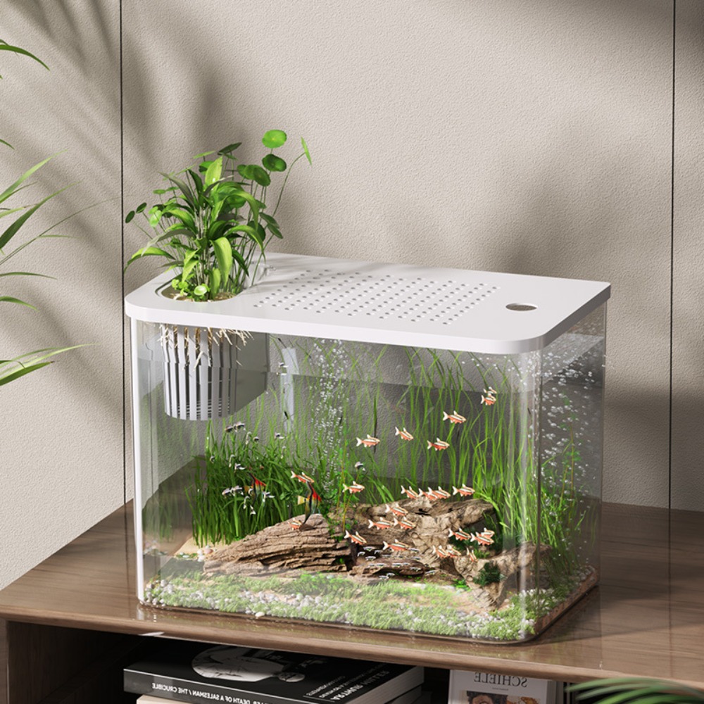 PET + ABS akwarium przezroczys – Aquarium Fish For Sale recenzja i cena