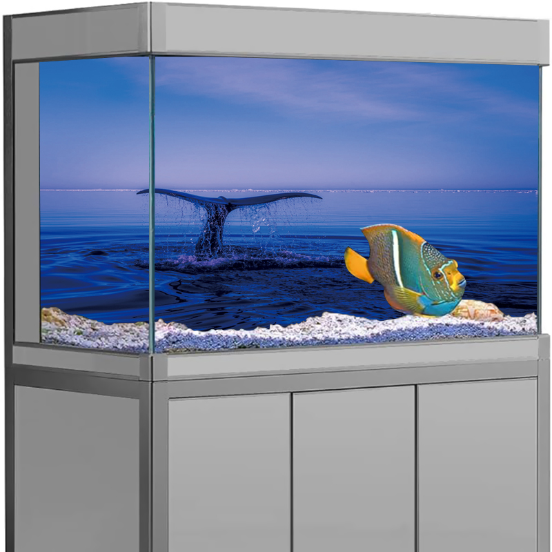 Naklejka na tło akwarium Delfi – Aquarium Fish Dolphin recenzja i cena