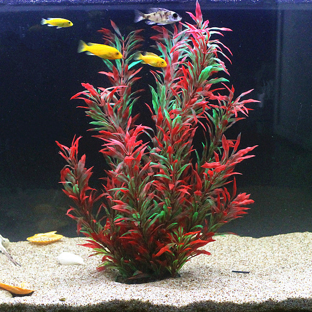 50CM sztuczne akwarium rzadkie – Aquarium Fish To Buy recenzja i cena