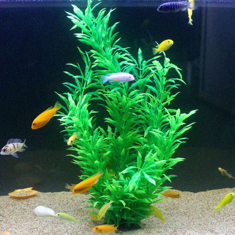 50CM sztuczne akwarium rzadkie – Aquarium Fish To Buy recenzja i cena