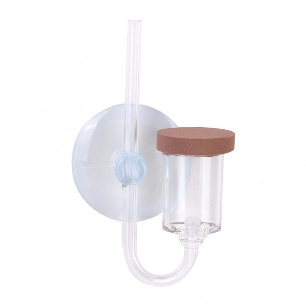 Akrylowy Mini Akwarium Rośliny – Aquarium Fish To Buy recenzja i cena