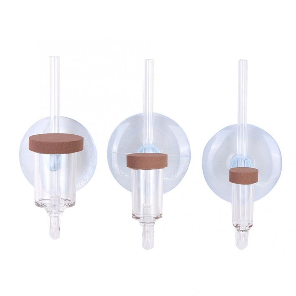Akrylowy Mini Akwarium Rośliny – Aquarium Fish To Buy recenzja i cena