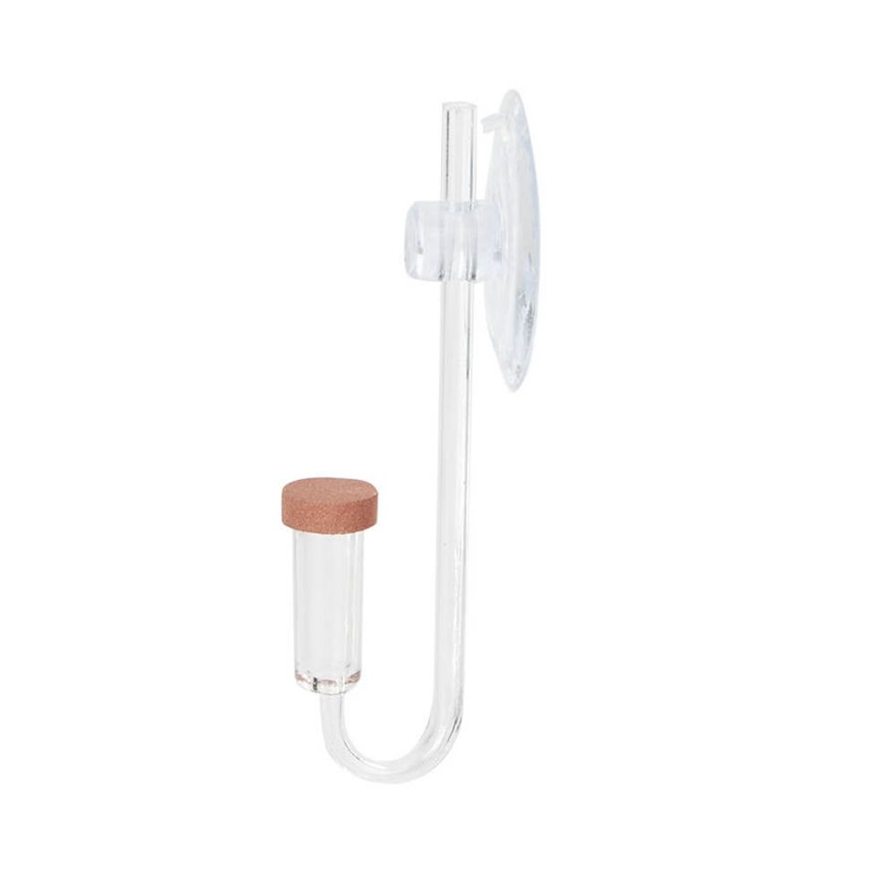 Akrylowy Mini Akwarium Rośliny – Aquarium Fish To Buy recenzja i cena