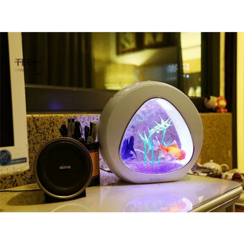 SUNSUN akrylowe akwarium ekolo – Aquarium Fish Big recenzja i cena