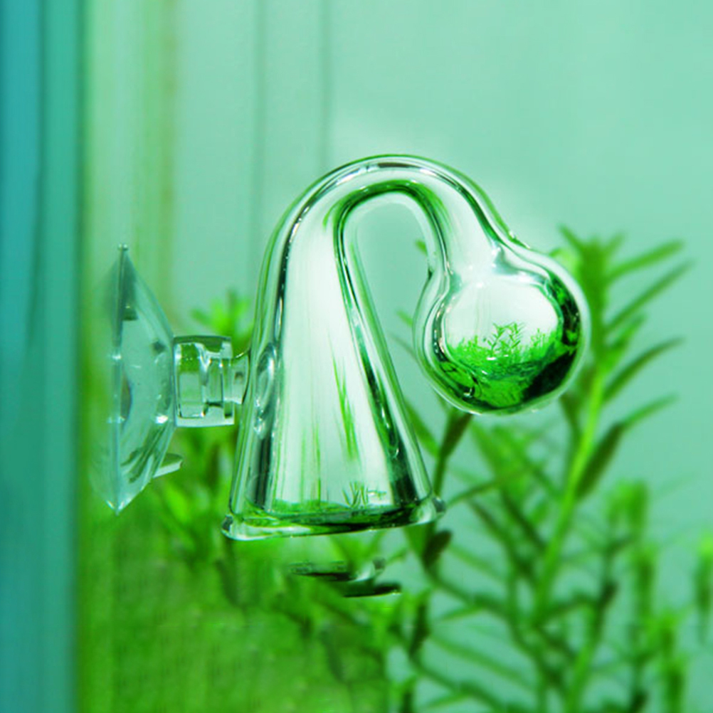 Akwarium CO2 Dyfuzyjny szklany – Aquarium Fish To Buy recenzja i cena
