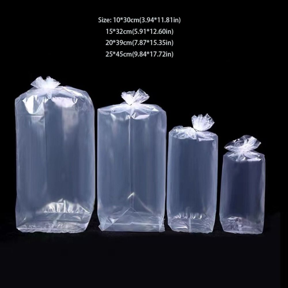 10 SZT. Plastikowe Przezroczys – Aquarium Fish Delivery recenzja i cena