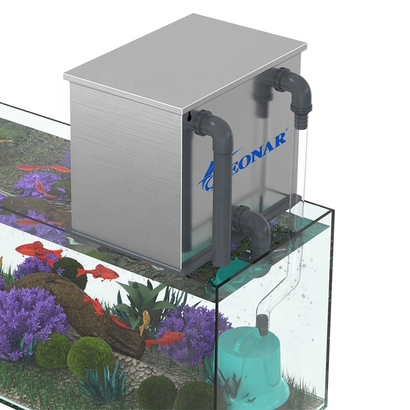 Bezpośrednia sprzedaż z fabryk – Aquarium Fish For Sale recenzja i cena