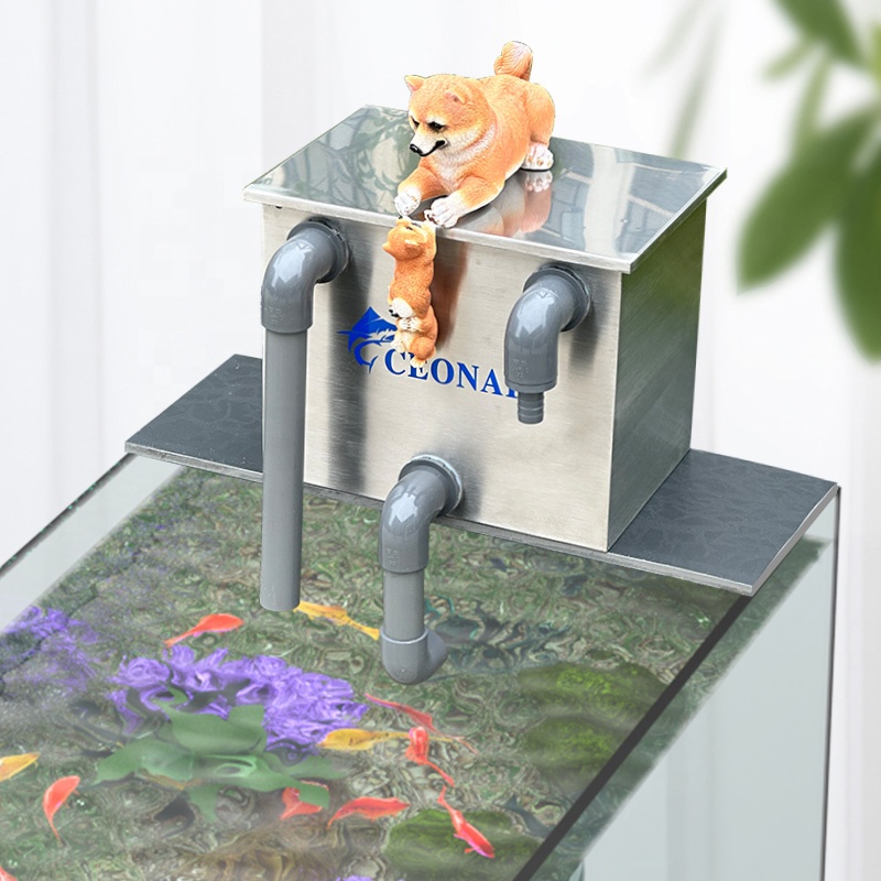 Bezpośrednia sprzedaż z fabryk – Aquarium Fish For Sale recenzja i cena
