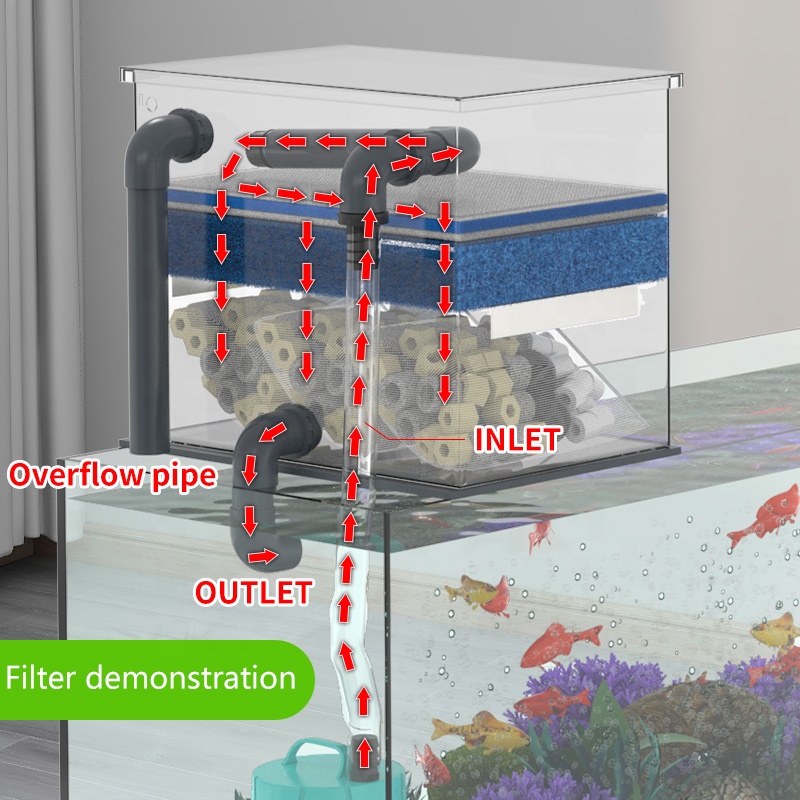 Bezpośrednia sprzedaż z fabryk – Aquarium Fish For Sale recenzja i cena