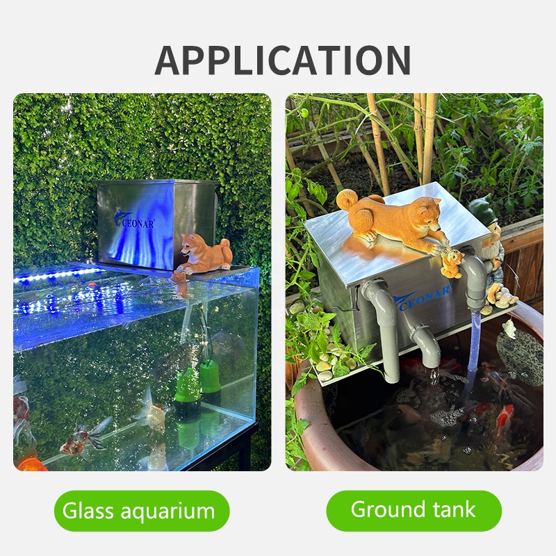 Bezpośrednia sprzedaż z fabryk – Aquarium Fish For Sale recenzja i cena